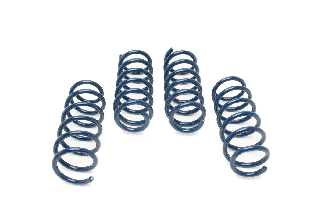 DINAN Performance Spring Set - BMW 550i F10 (11-16)