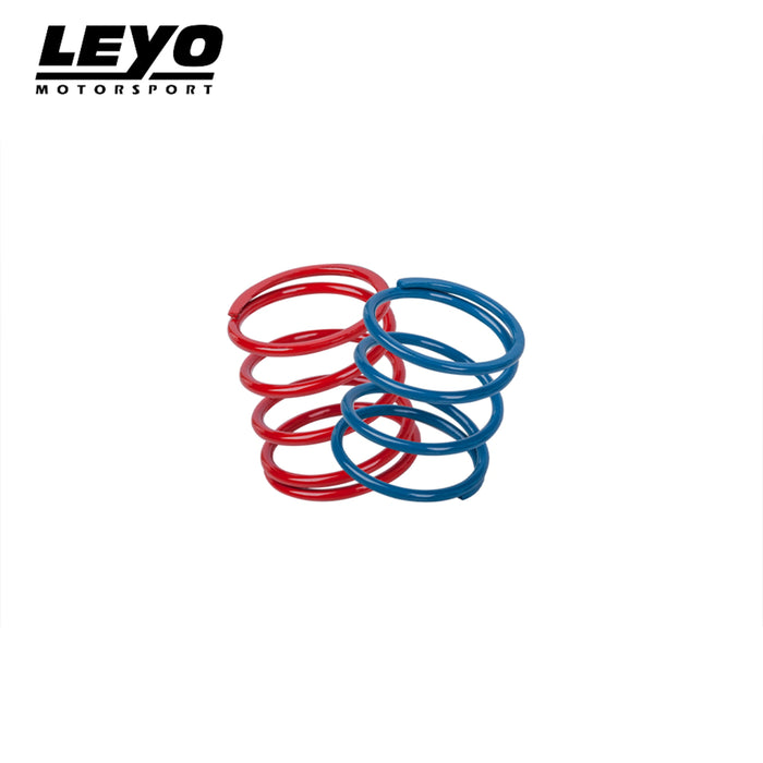 Leyo Diverter & BOV - Uprated Spring Kit