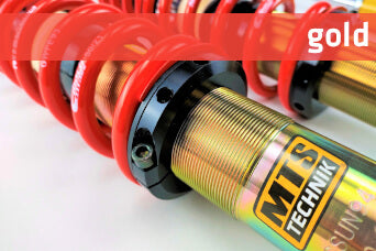 MTS Technik - Street Coilover Kit MK5 R32